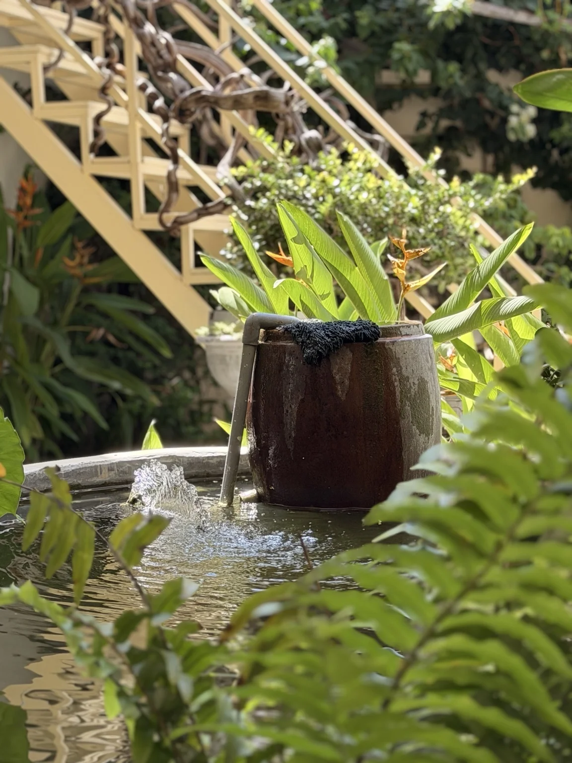Water feature and greenery in the courtyard